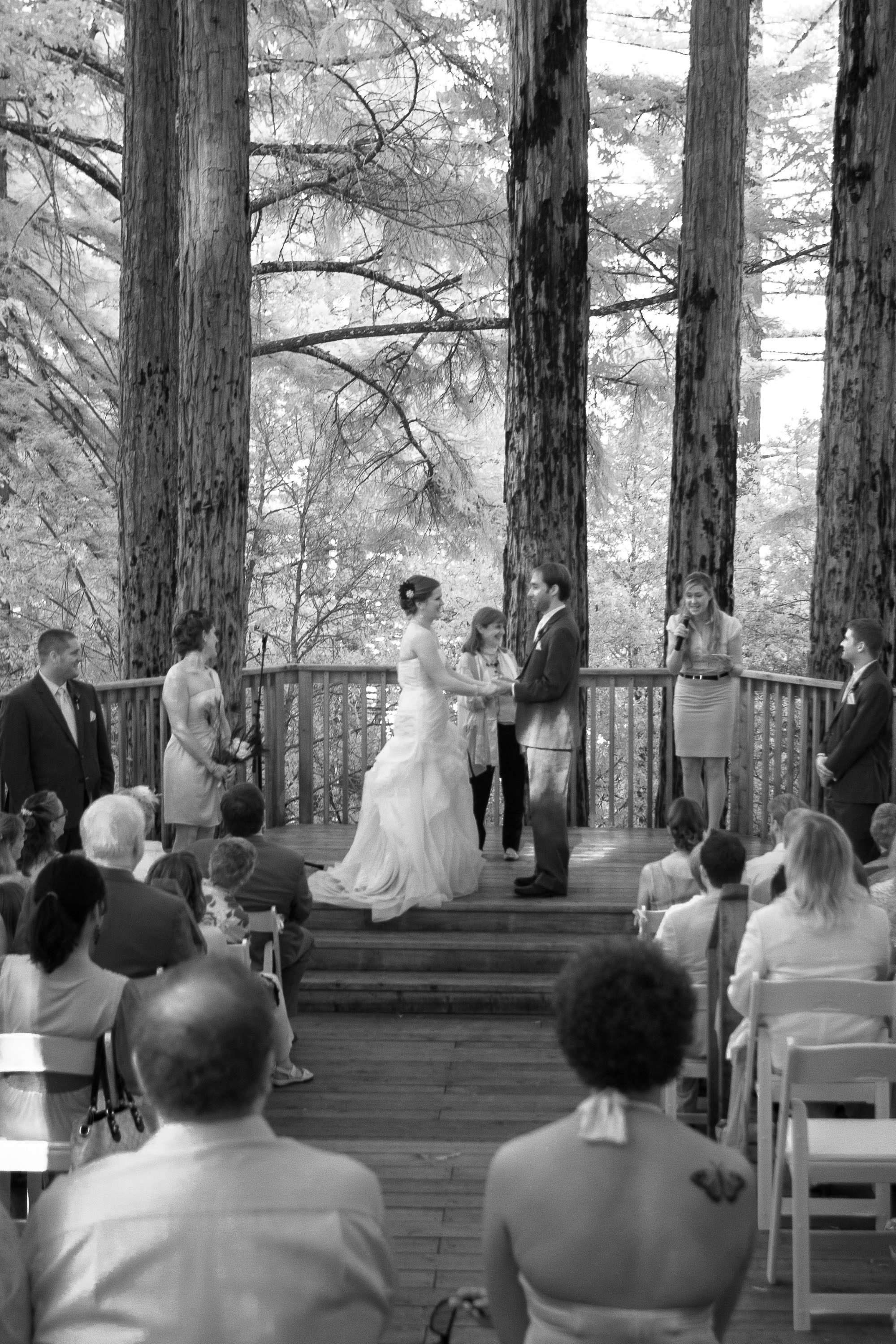 An artistic infrared view of the wedding amidst the trees at Pema Osel Ling in the Santa Cruz mountains