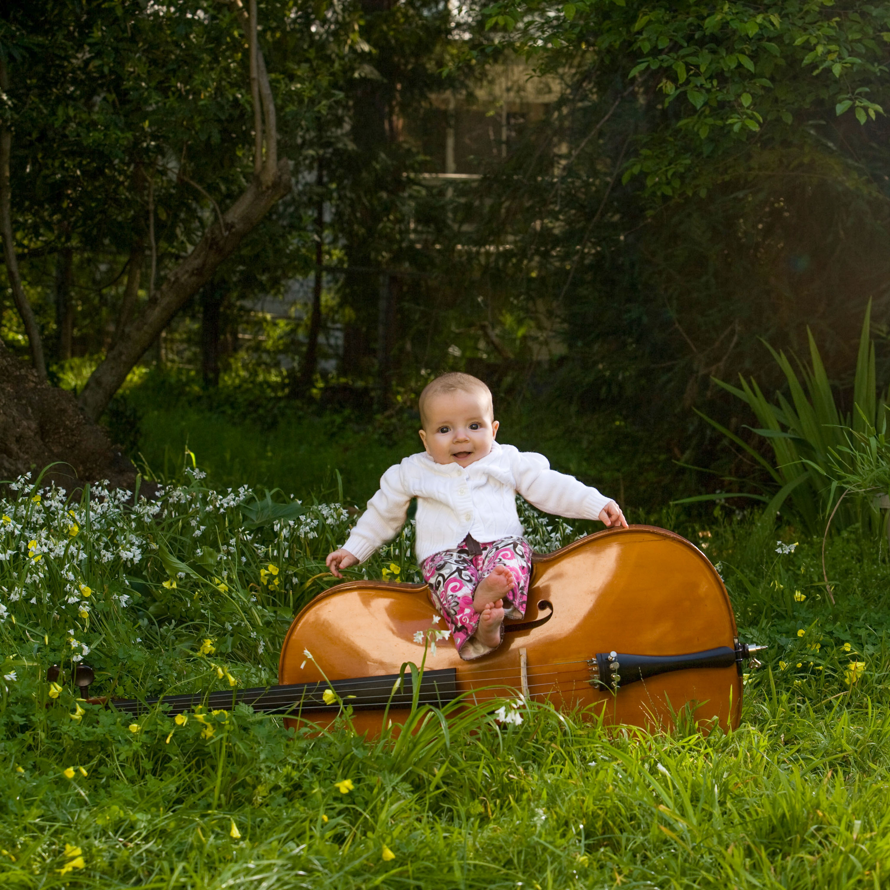 The baby daughter of a cellist posed on top of -- what else? -- a cello, in their Berkeley back yard.